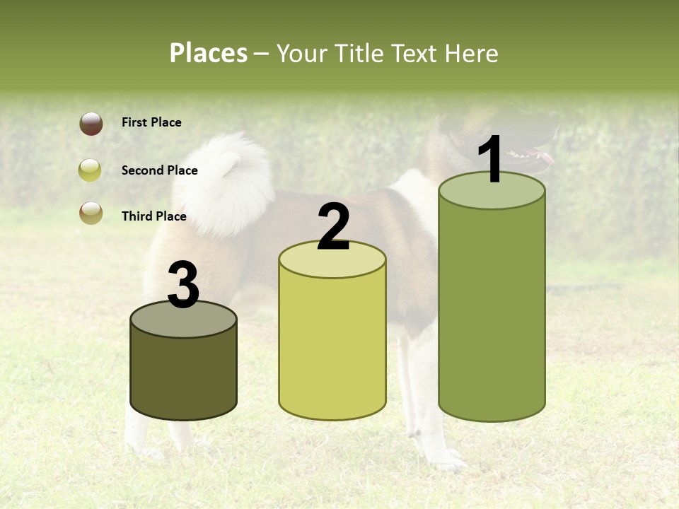 A Brown And White Dog Standing On Top Of A Lush Green Field PowerPoint Template