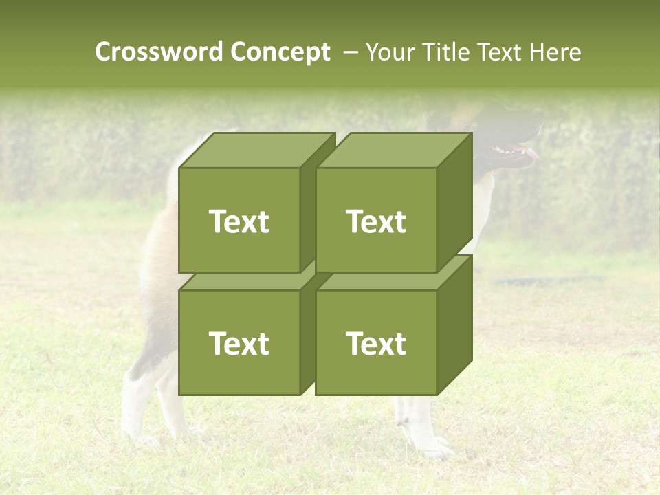 A Brown And White Dog Standing On Top Of A Lush Green Field PowerPoint Template