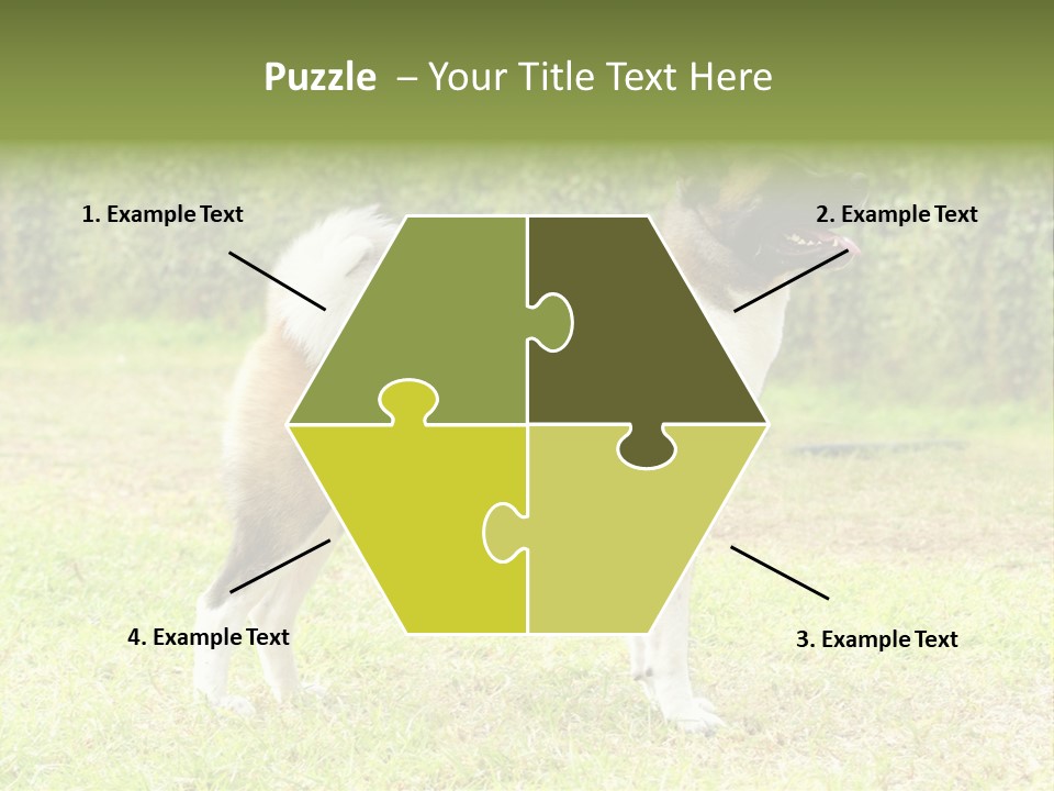 A Brown And White Dog Standing On Top Of A Lush Green Field PowerPoint Template
