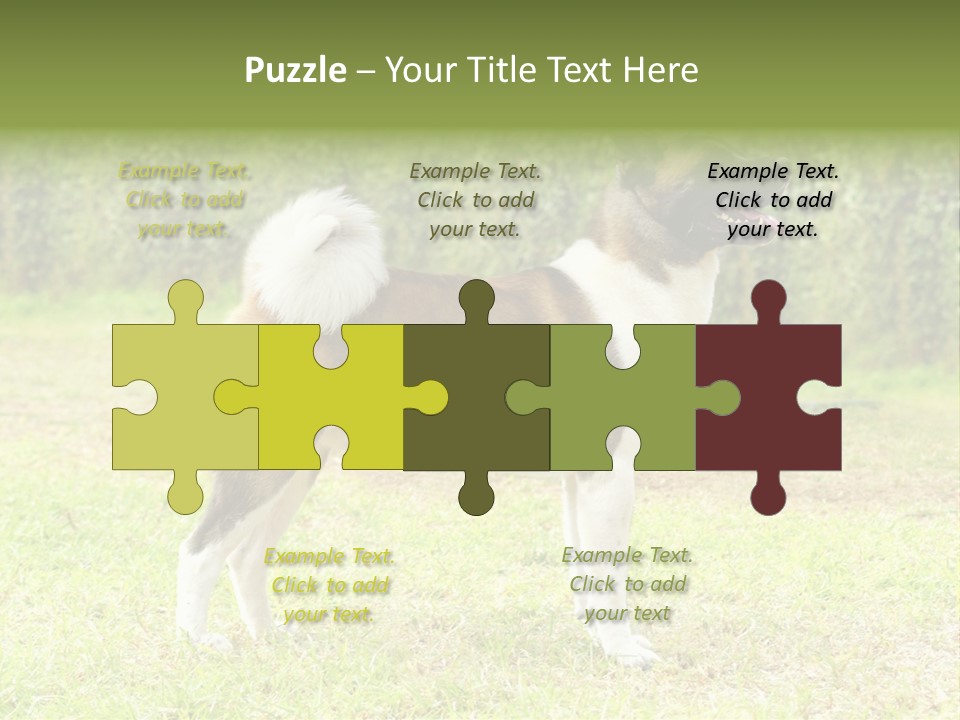 A Brown And White Dog Standing On Top Of A Lush Green Field PowerPoint Template