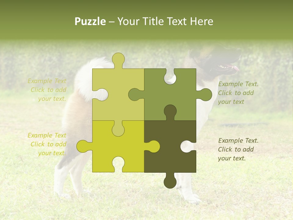A Brown And White Dog Standing On Top Of A Lush Green Field PowerPoint Template