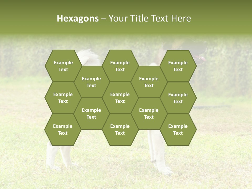 A Brown And White Dog Standing On Top Of A Lush Green Field PowerPoint Template