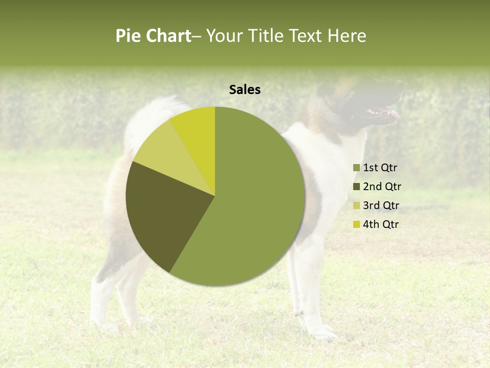 A Brown And White Dog Standing On Top Of A Lush Green Field PowerPoint Template