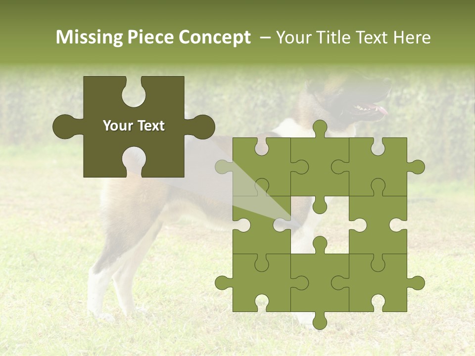 A Brown And White Dog Standing On Top Of A Lush Green Field PowerPoint Template
