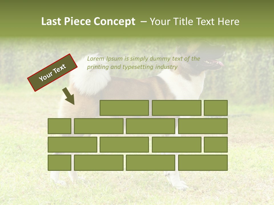 A Brown And White Dog Standing On Top Of A Lush Green Field PowerPoint Template
