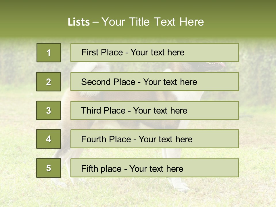 A Brown And White Dog Standing On Top Of A Lush Green Field PowerPoint Template
