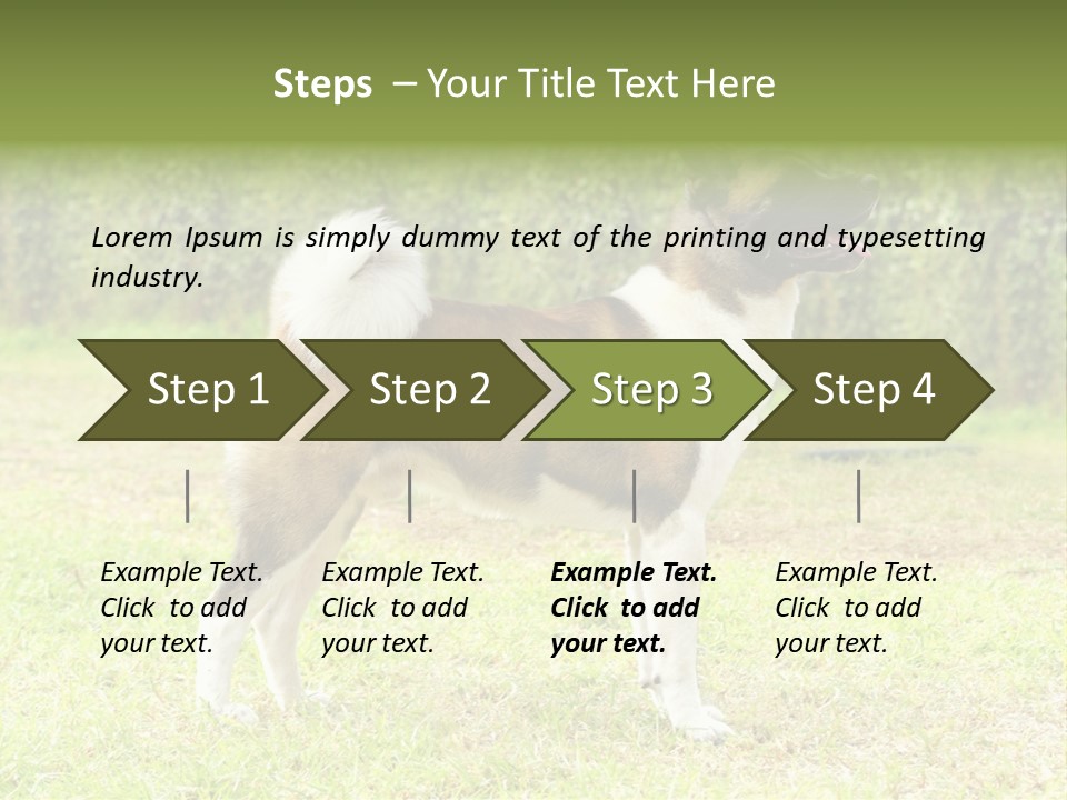 A Brown And White Dog Standing On Top Of A Lush Green Field PowerPoint Template