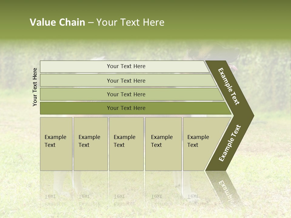 A Brown And White Dog Standing On Top Of A Lush Green Field PowerPoint Template
