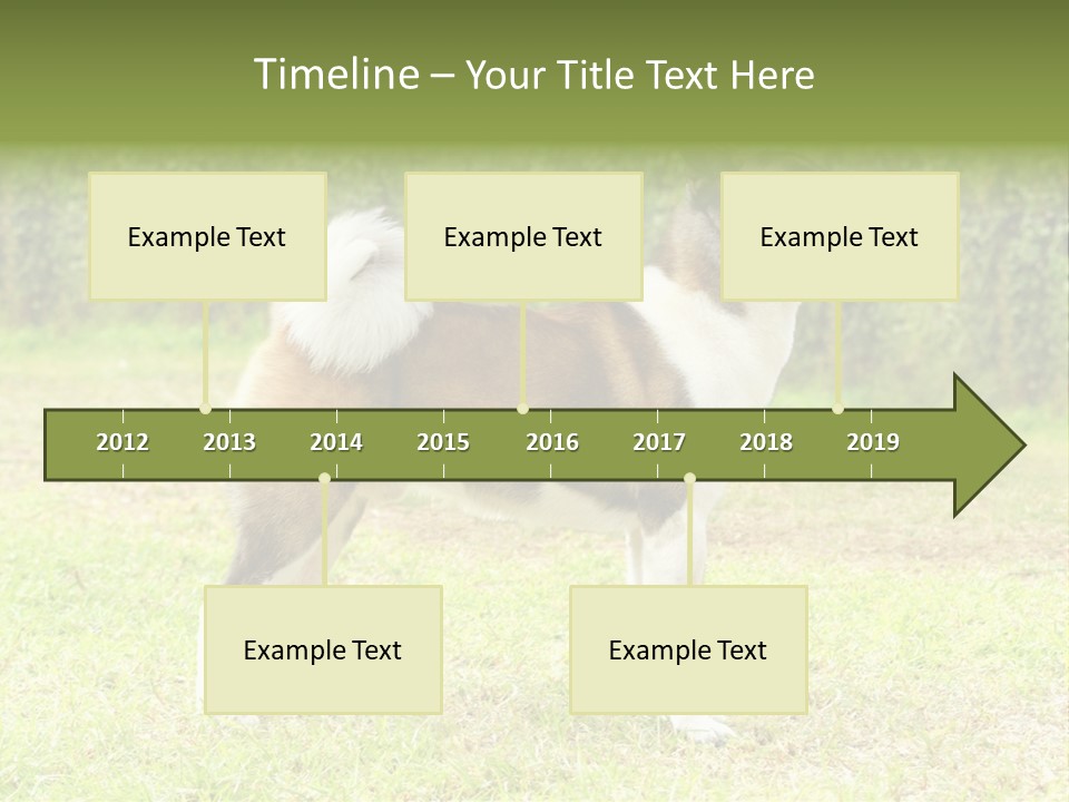 A Brown And White Dog Standing On Top Of A Lush Green Field PowerPoint Template