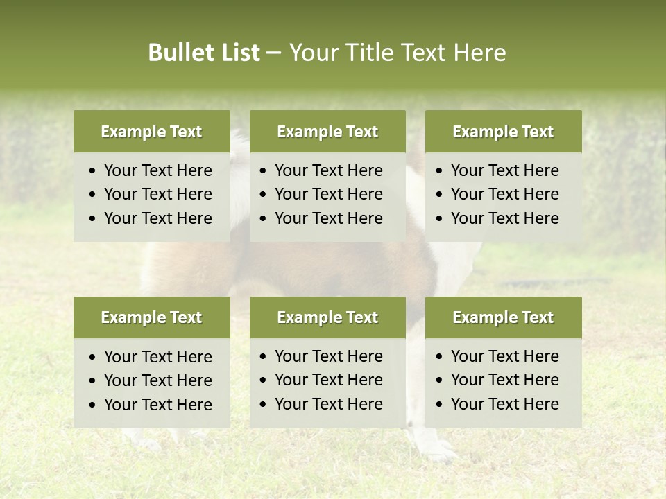 A Brown And White Dog Standing On Top Of A Lush Green Field PowerPoint Template