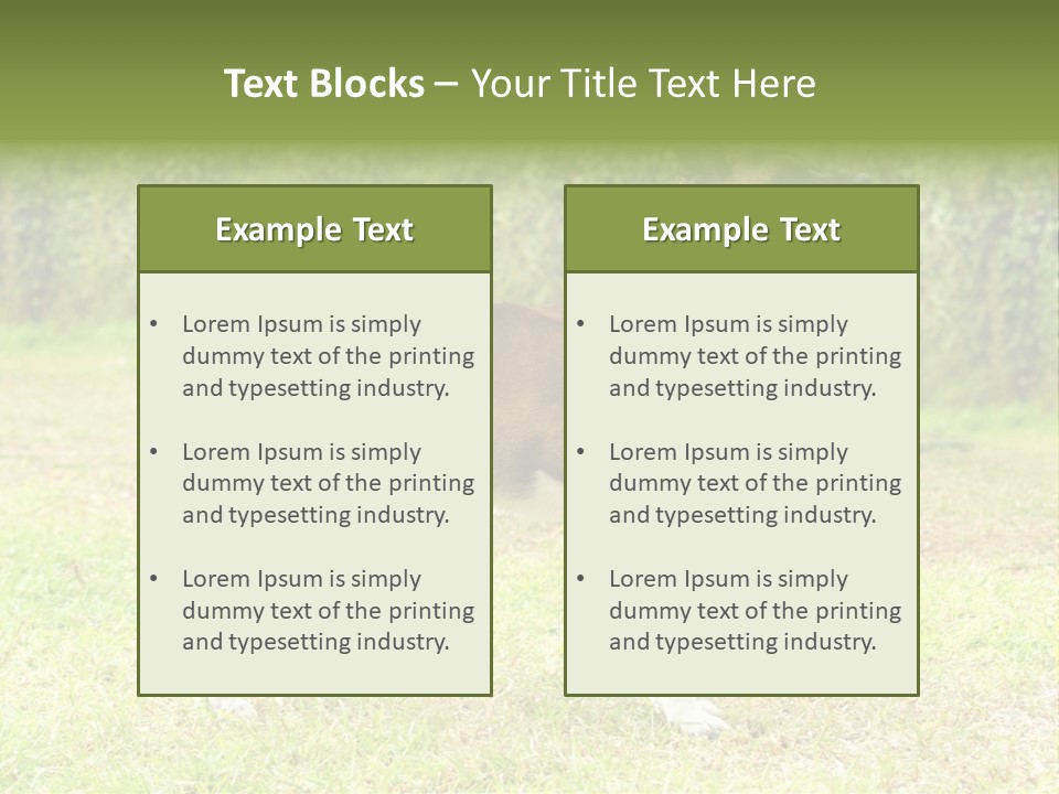 A Brown And White Dog Standing On Top Of A Lush Green Field PowerPoint Template
