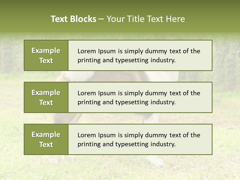 A Brown And White Dog Standing On Top Of A Lush Green Field PowerPoint Template