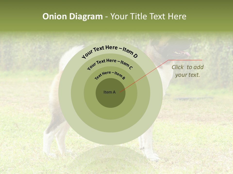 A Brown And White Dog Standing On Top Of A Lush Green Field PowerPoint Template