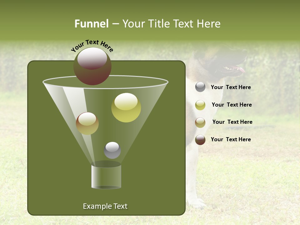 A Brown And White Dog Standing On Top Of A Lush Green Field PowerPoint Template