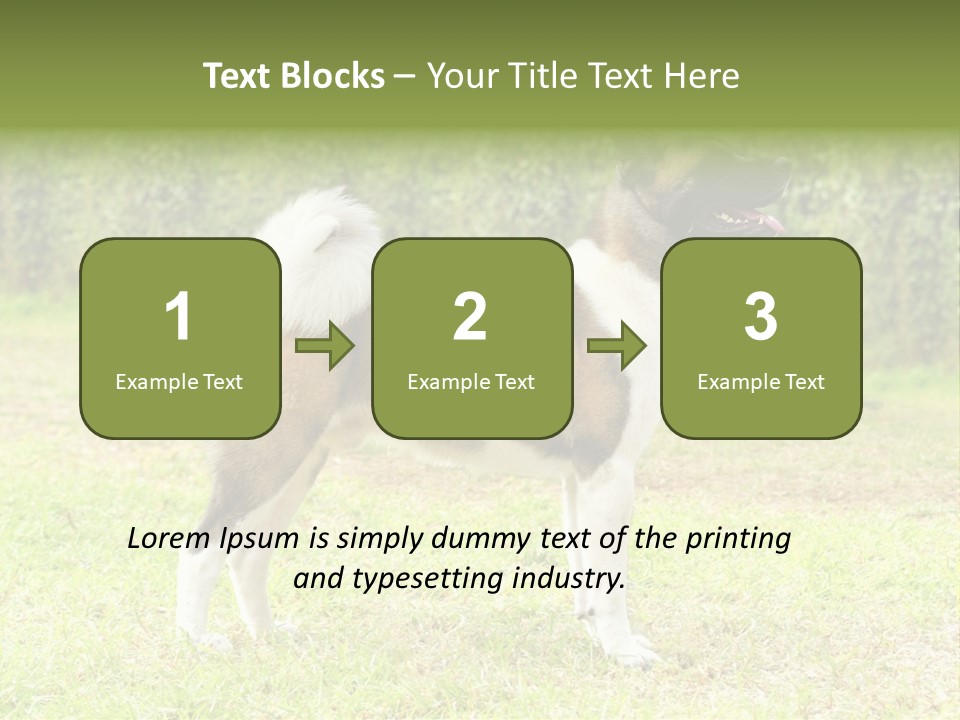 A Brown And White Dog Standing On Top Of A Lush Green Field PowerPoint Template