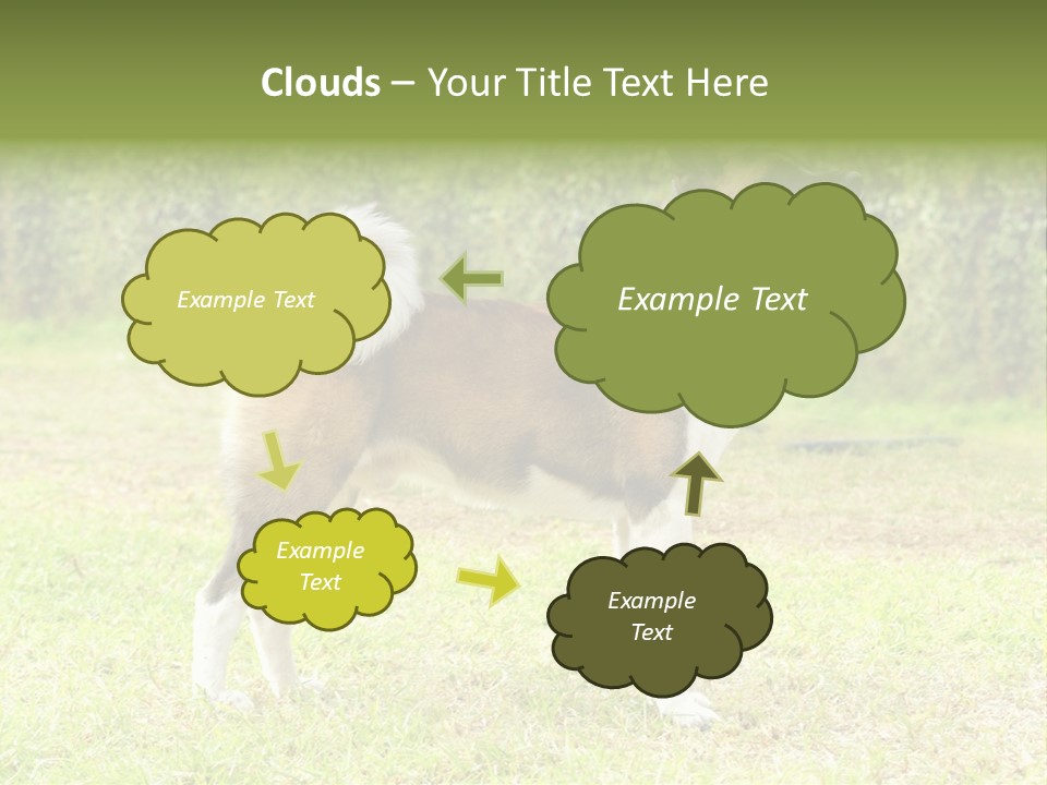 A Brown And White Dog Standing On Top Of A Lush Green Field PowerPoint Template