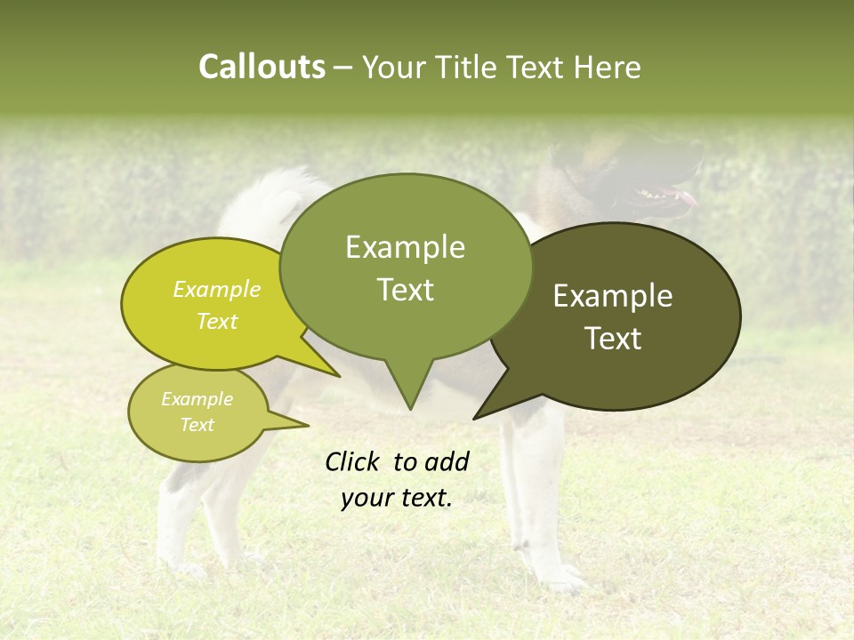 A Brown And White Dog Standing On Top Of A Lush Green Field PowerPoint Template