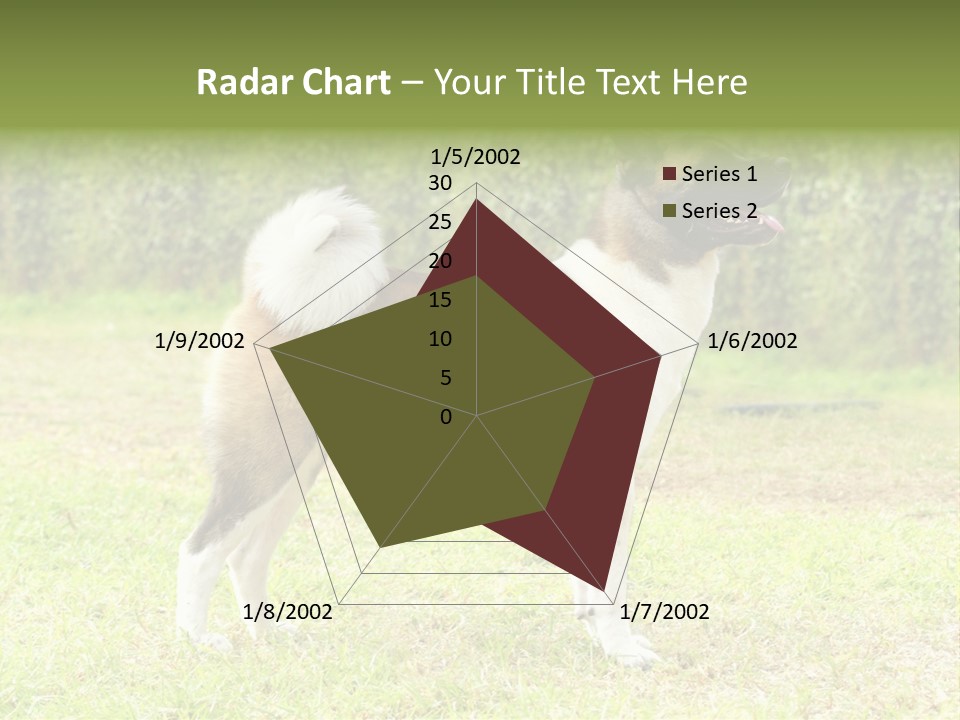 A Brown And White Dog Standing On Top Of A Lush Green Field PowerPoint Template