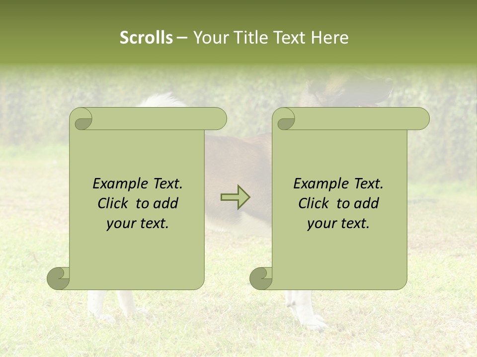 A Brown And White Dog Standing On Top Of A Lush Green Field PowerPoint Template