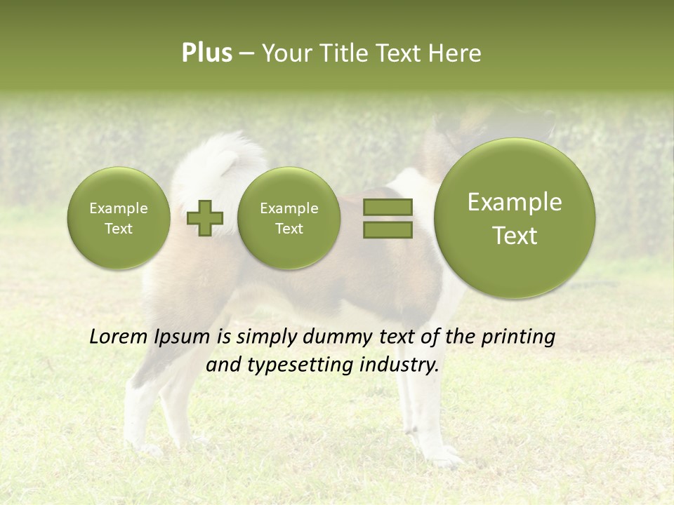 A Brown And White Dog Standing On Top Of A Lush Green Field PowerPoint Template