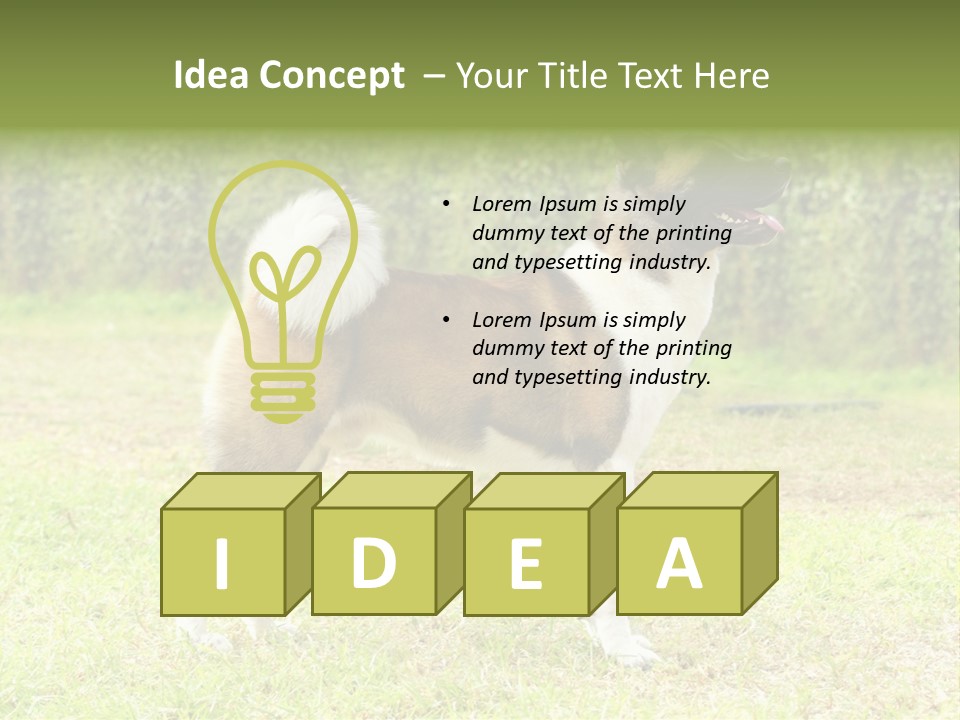 A Brown And White Dog Standing On Top Of A Lush Green Field PowerPoint Template