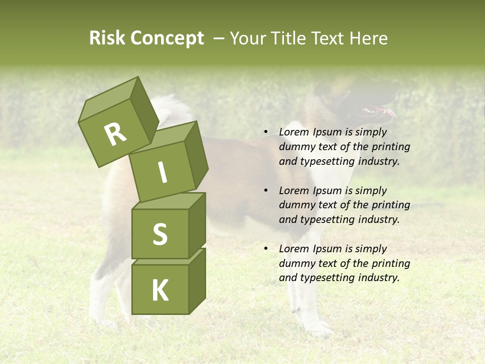A Brown And White Dog Standing On Top Of A Lush Green Field PowerPoint Template