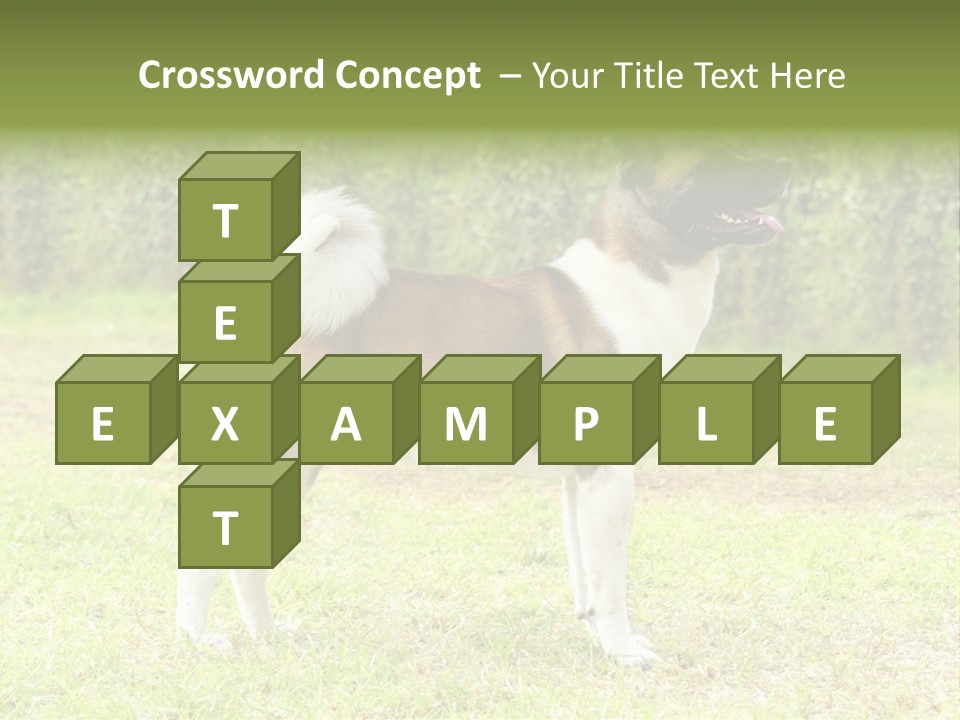 A Brown And White Dog Standing On Top Of A Lush Green Field PowerPoint Template