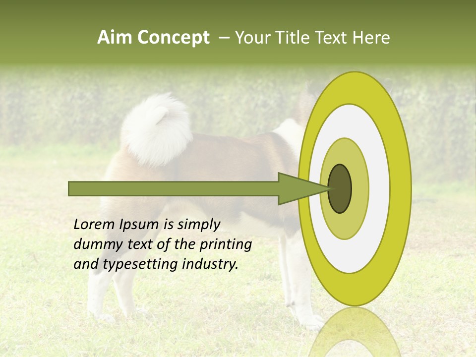 A Brown And White Dog Standing On Top Of A Lush Green Field PowerPoint Template