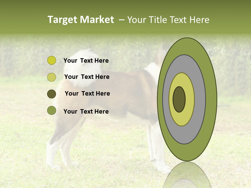 A Brown And White Dog Standing On Top Of A Lush Green Field PowerPoint Template