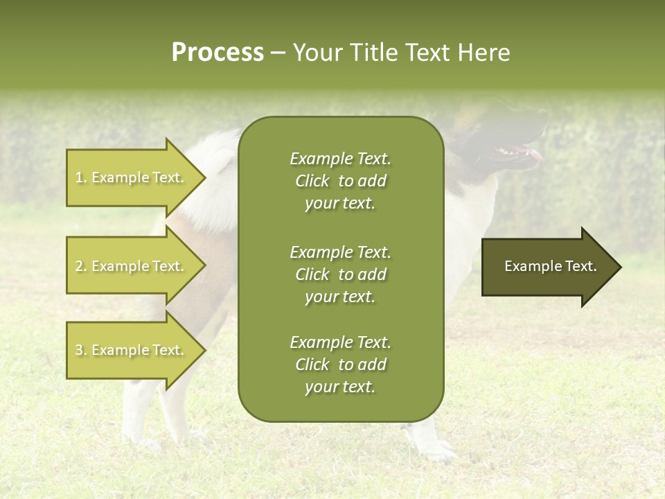 A Brown And White Dog Standing On Top Of A Lush Green Field PowerPoint Template