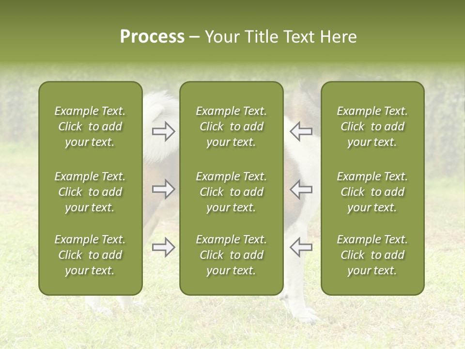 A Brown And White Dog Standing On Top Of A Lush Green Field PowerPoint Template