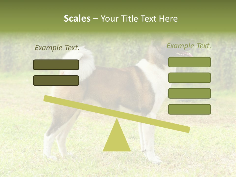 A Brown And White Dog Standing On Top Of A Lush Green Field PowerPoint Template