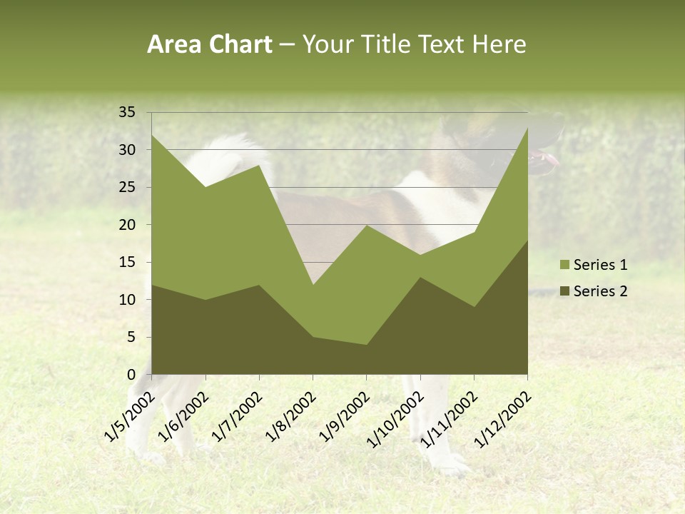 A Brown And White Dog Standing On Top Of A Lush Green Field PowerPoint Template
