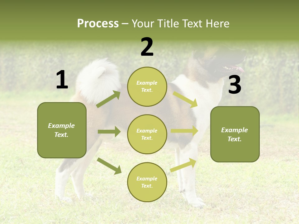 A Brown And White Dog Standing On Top Of A Lush Green Field PowerPoint Template
