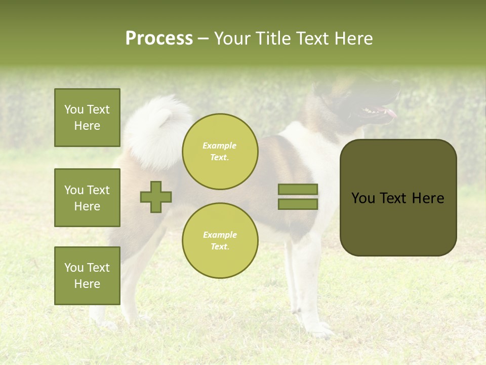 A Brown And White Dog Standing On Top Of A Lush Green Field PowerPoint Template