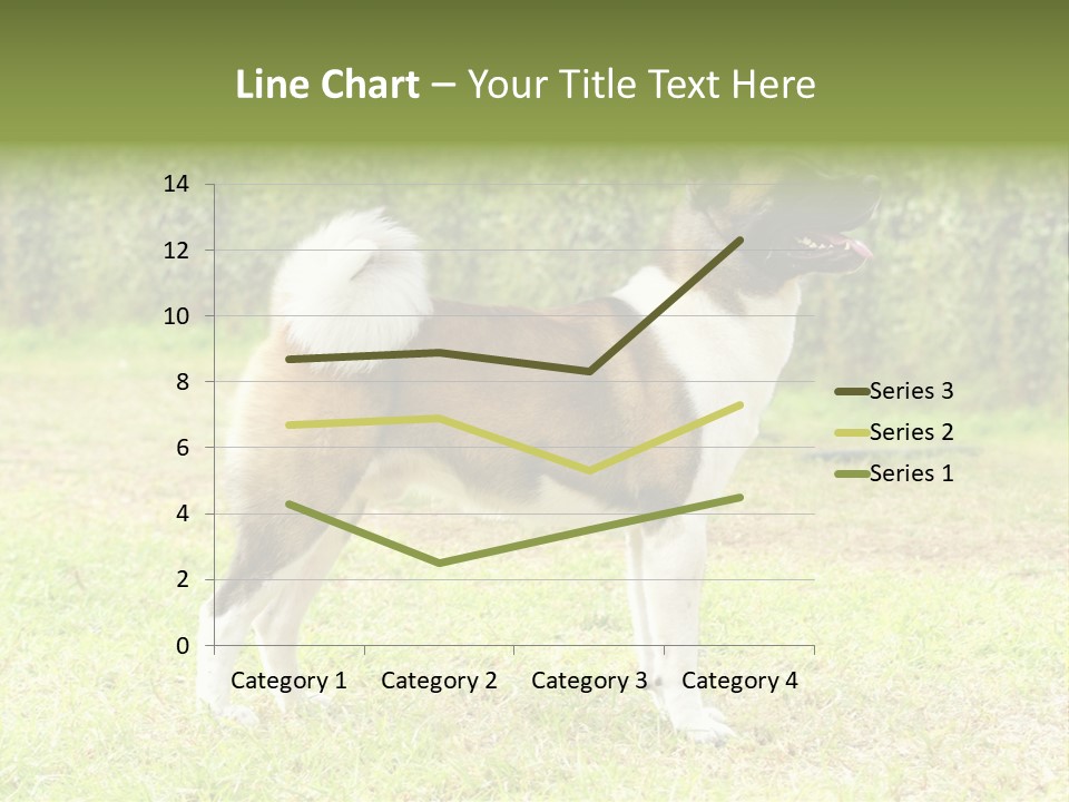 A Brown And White Dog Standing On Top Of A Lush Green Field PowerPoint Template