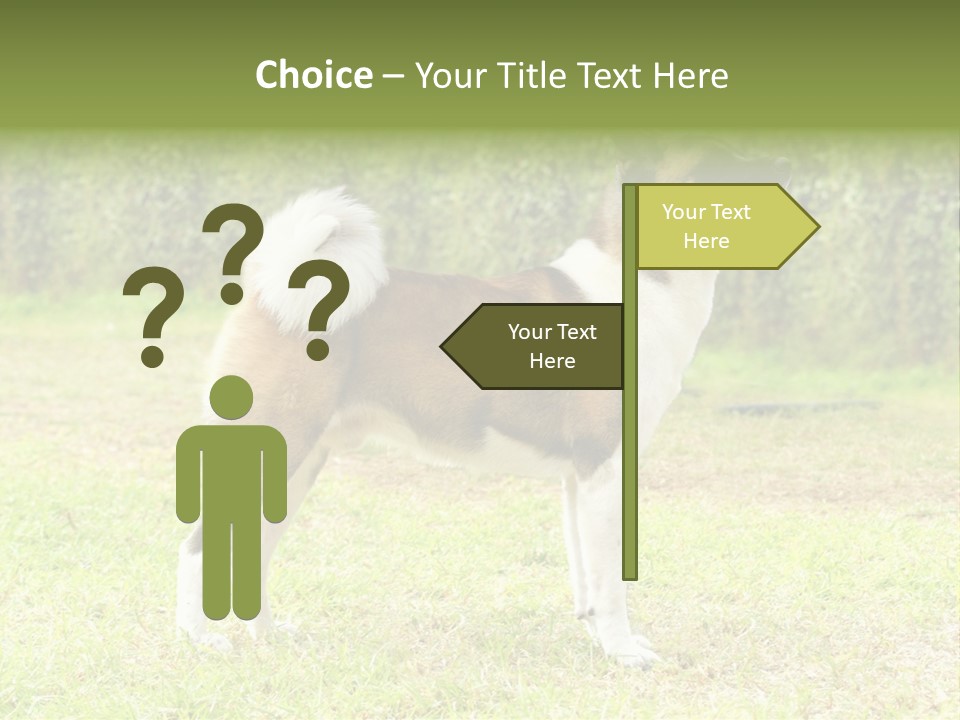 A Brown And White Dog Standing On Top Of A Lush Green Field PowerPoint Template