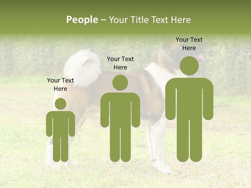 A Brown And White Dog Standing On Top Of A Lush Green Field PowerPoint Template