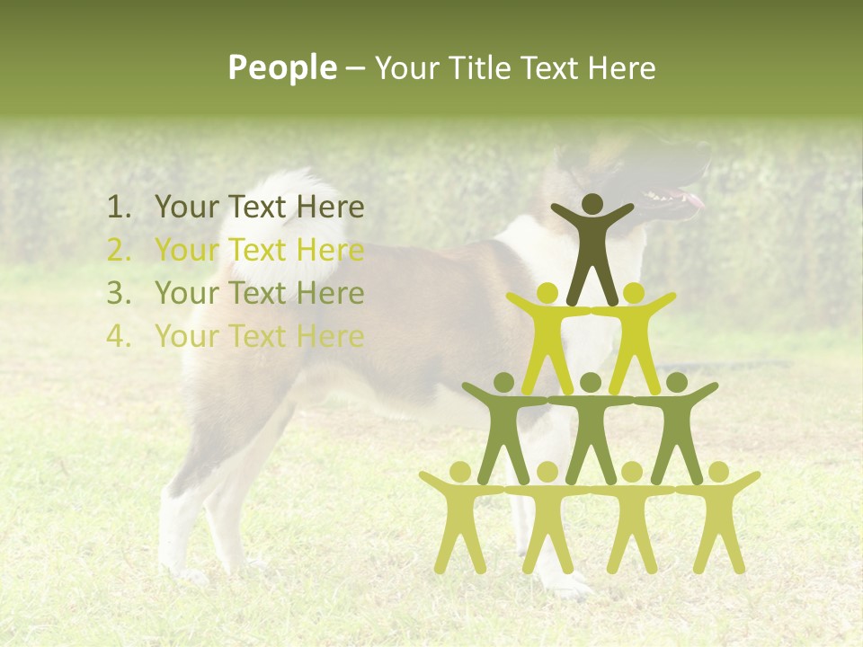 A Brown And White Dog Standing On Top Of A Lush Green Field PowerPoint Template