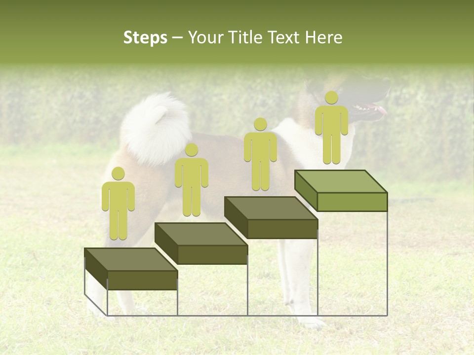 A Brown And White Dog Standing On Top Of A Lush Green Field PowerPoint Template