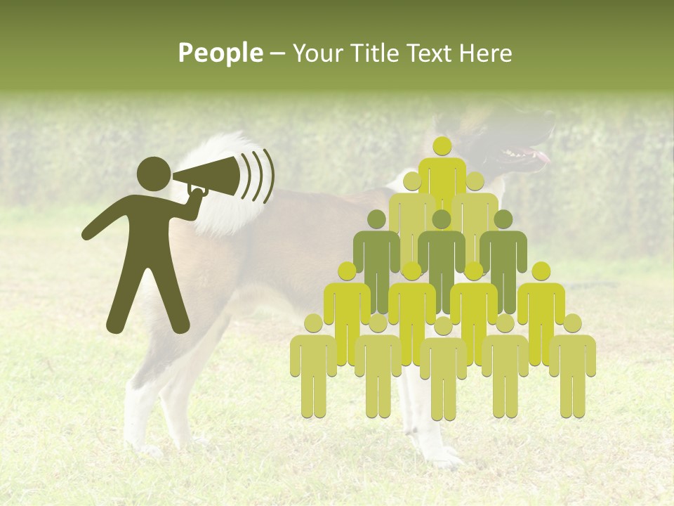 A Brown And White Dog Standing On Top Of A Lush Green Field PowerPoint Template