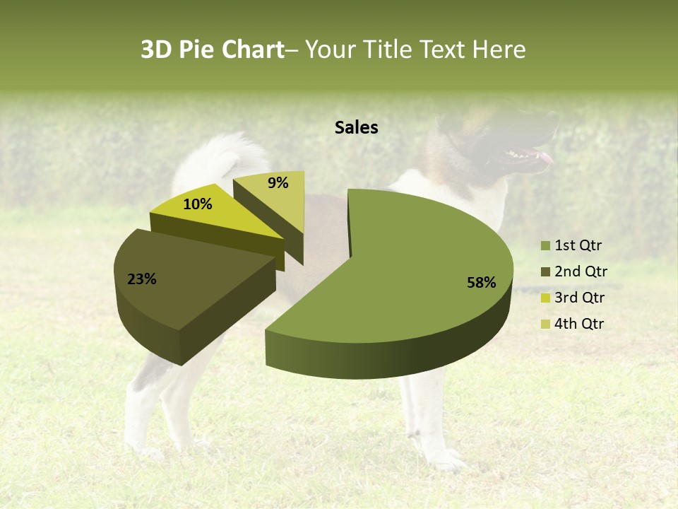 A Brown And White Dog Standing On Top Of A Lush Green Field PowerPoint Template