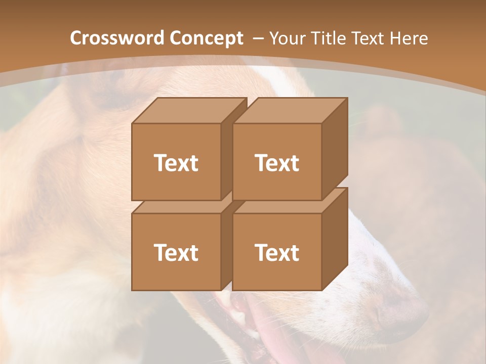 A Brown And White Dog Is On A Leash PowerPoint Template