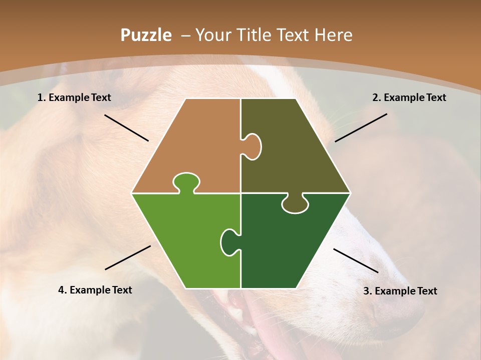 A Brown And White Dog Is On A Leash PowerPoint Template