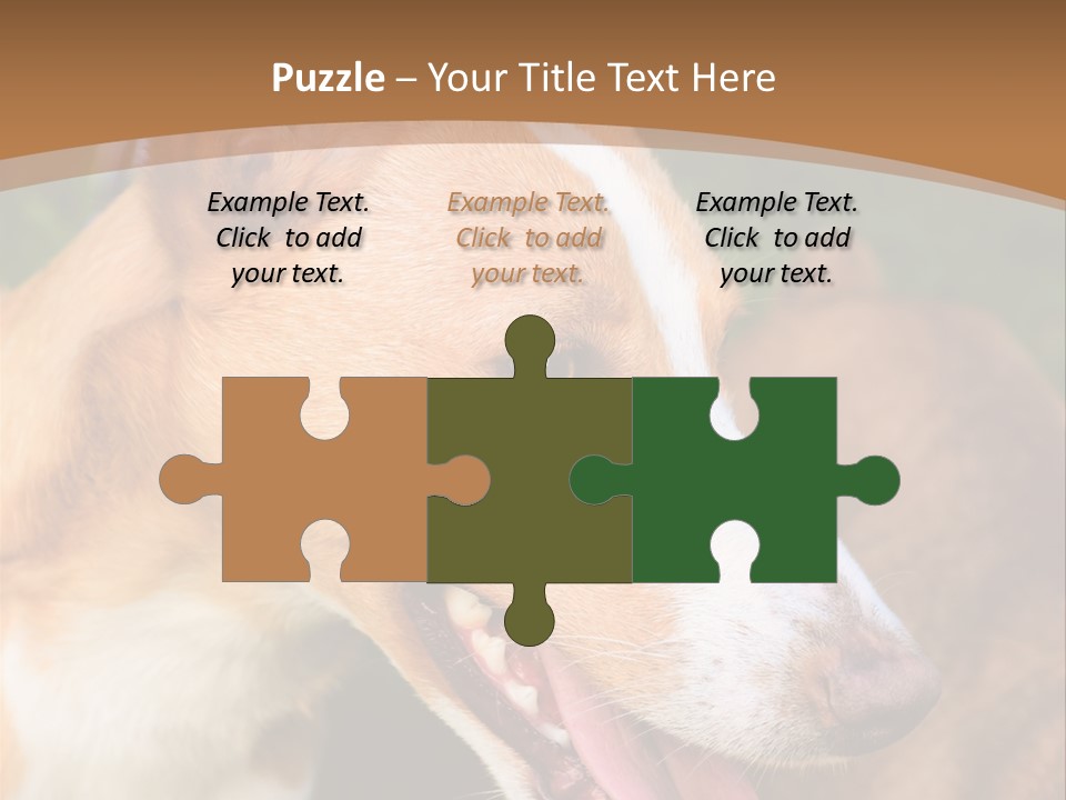 A Brown And White Dog Is On A Leash PowerPoint Template