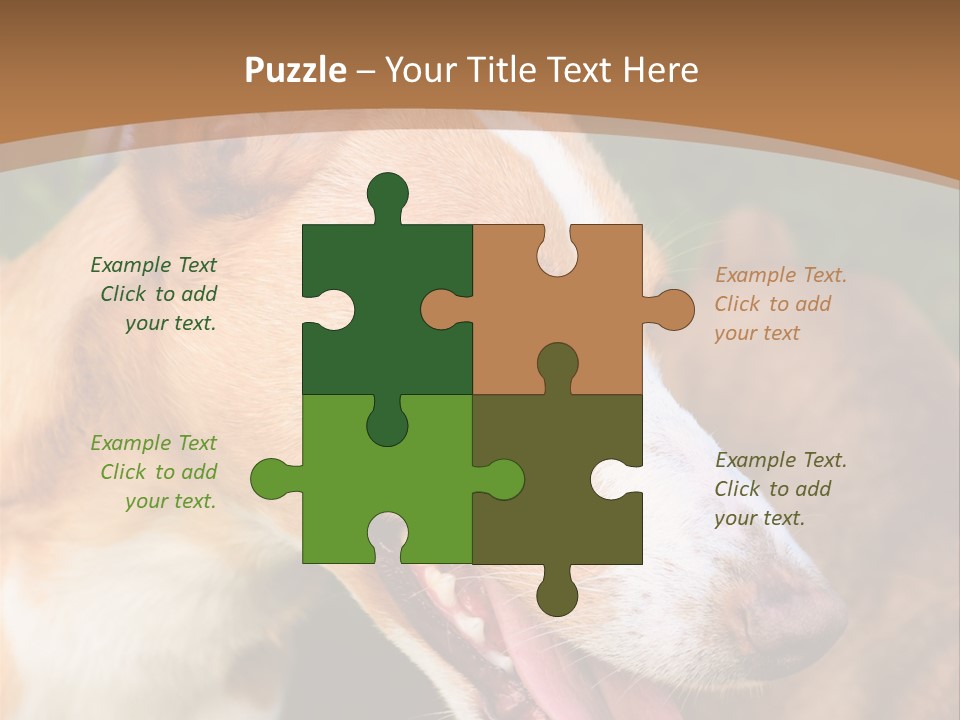 A Brown And White Dog Is On A Leash PowerPoint Template