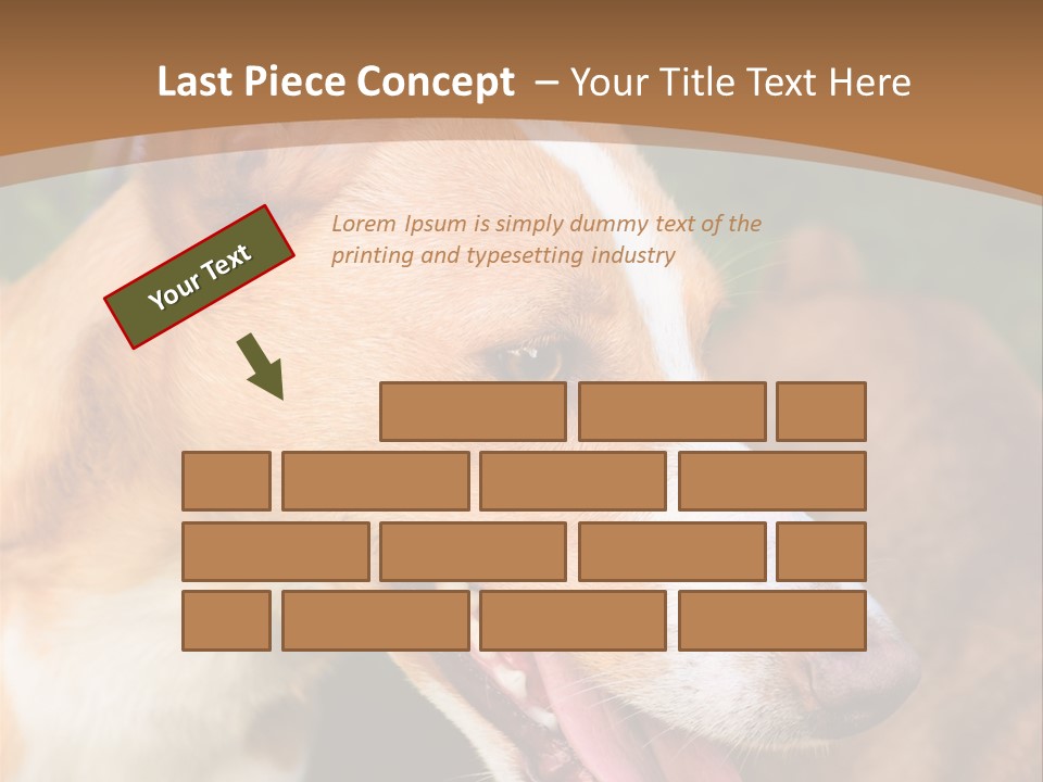 A Brown And White Dog Is On A Leash PowerPoint Template