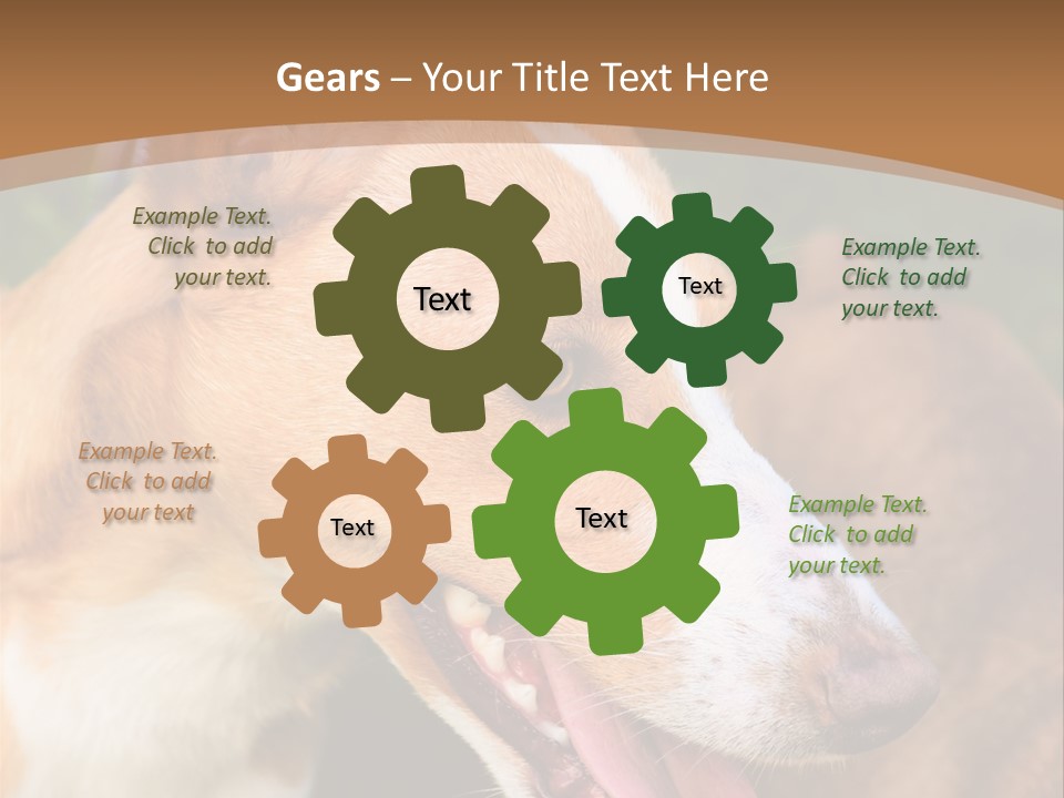 A Brown And White Dog Is On A Leash PowerPoint Template