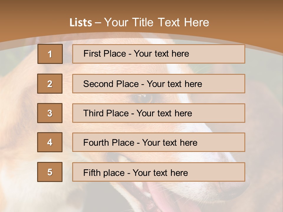 A Brown And White Dog Is On A Leash PowerPoint Template