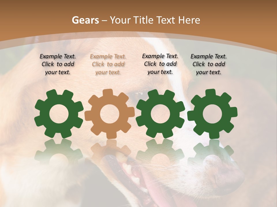 A Brown And White Dog Is On A Leash PowerPoint Template